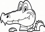 Alligator Crocodile Coloring Pages Cartoon Drawing Head Face Baby Cute Color Gators Florida Caiman Silhouette Gator Colouring Book Sheet Draw sketch template