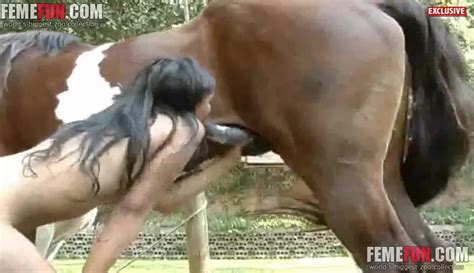 Hot Sex With Horses Animal Video Along Women Avid For Such Huge Dicks XXX FemeFun