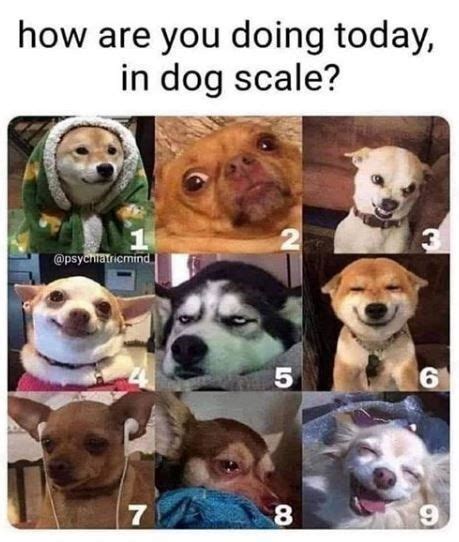 11 Mood Scale Ideas How Are You Feeling Today Meme Bones Funny