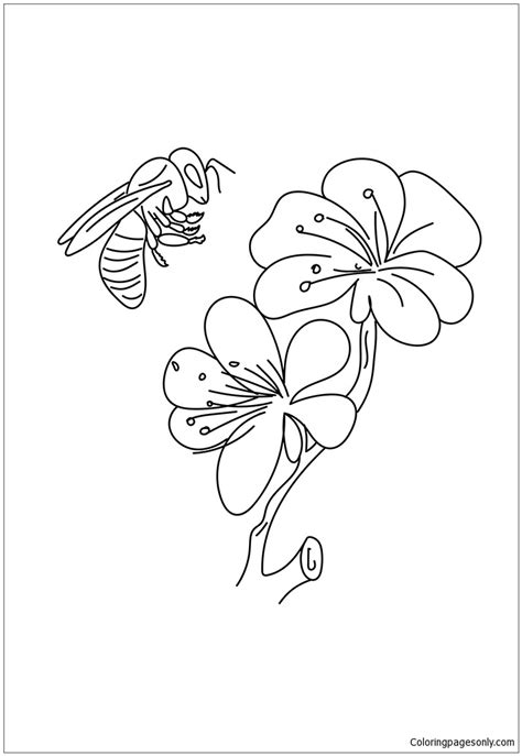 flowers  bees coloring page  printable coloring pages