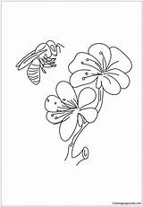 Bees Coloringpagesonly sketch template
