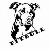 Tattoo Pitbull Bull Pit Tattoos Stencils Staffordshire Terrier Designs American Tatoo Stencil Drawings Drawing Bulls Patterns Tribal Pitbulls Breed Sticker sketch template