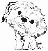 Dog Tzu Shih Coloring Pages Colouring Choose Board Puppy Dogs sketch template