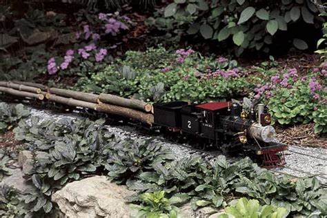guide to plants garden railway plants garden railroad