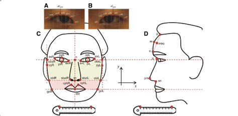 facial points    facial traits  participants