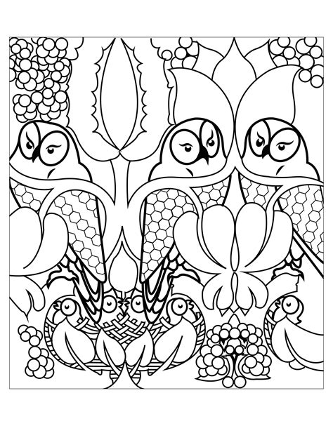 cute owls owls adult coloring pages