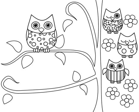 baby owl coloring pages  getcoloringscom  printable colorings