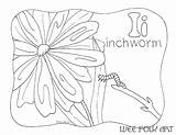 Coloring Letter Alphabet Nature Inchworm Homeschool sketch template