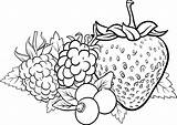 Frutti Bosco Berries Fruits Riscos Illustrazione Kolorowanka Truskawki Winogrono Druku Owoce Kolorowanki Yayimages Parati Pixers Frutas Izakowski Peint Adesivo Planetadziecka sketch template