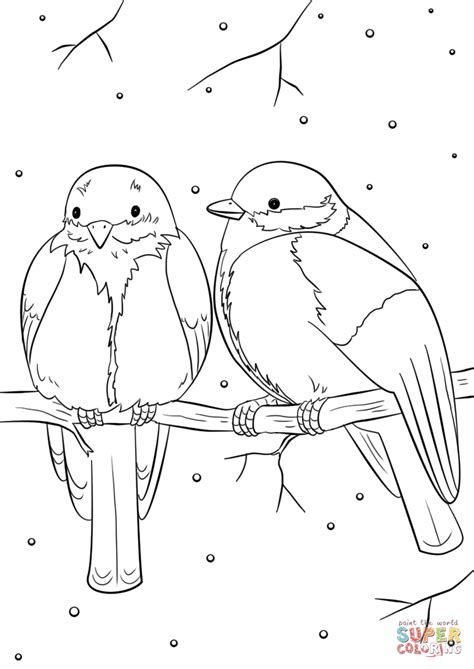 winter birds coloring page  printable coloring pages