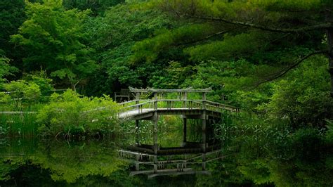 Обои forest park green water reflection beautiful nature lake bridge garden sun