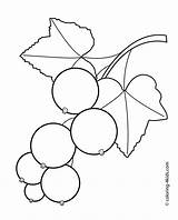 Currants Berries Currant Mandala sketch template