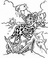 Frank Unicorn Cheetah Colouring Colorear Leopard Xcolorings Coloringfolder Coloringhome sketch template