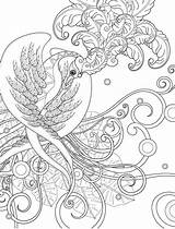 Coloring Pages Adult Sagittarius Birds Printable Gorgeous Bird Print Colouring Color Book Mandala Paisley Paradise Getcolorings Nerdymamma Books Colored Choose sketch template
