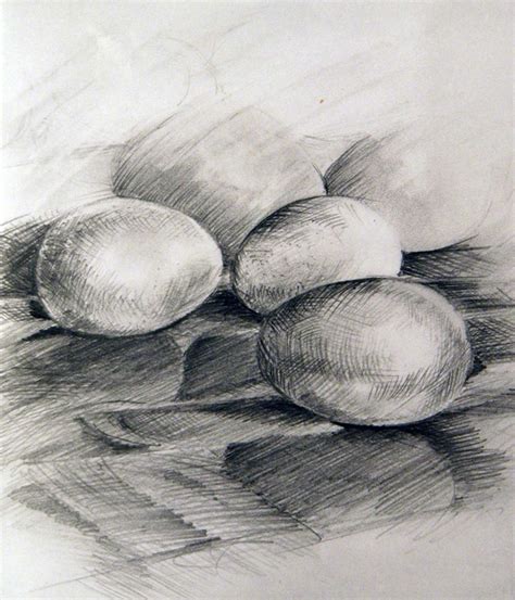 eggs pencil drawing creative art courses