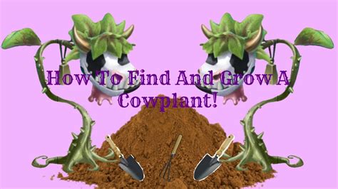 find  grow  cowplant youtube