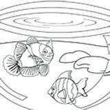 Fish Surfnetkids Coloring Mammals Marine Animals sketch template