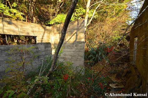 Overgrown Upper Floor Abandoned Kansai