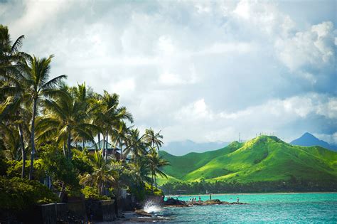 hawaiian island  visit    exotic vacation