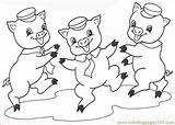 Pigs Little Coloring Three Pages Printable Wolf Big Bad Visit sketch template