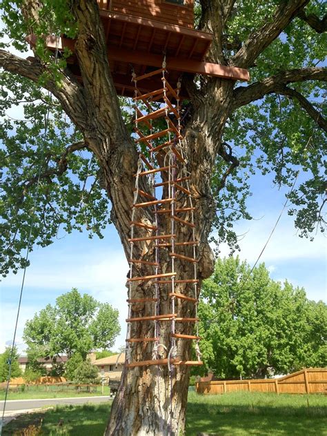 treehouse rope ladder  sided album  imgur tree house rope ladder tree house plans