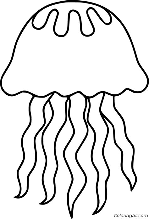 jellyfish coloring pages simple realistic jellyfish drawing