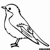 Robin Bird Red Coloring Drawing Printable Pages Getdrawings sketch template