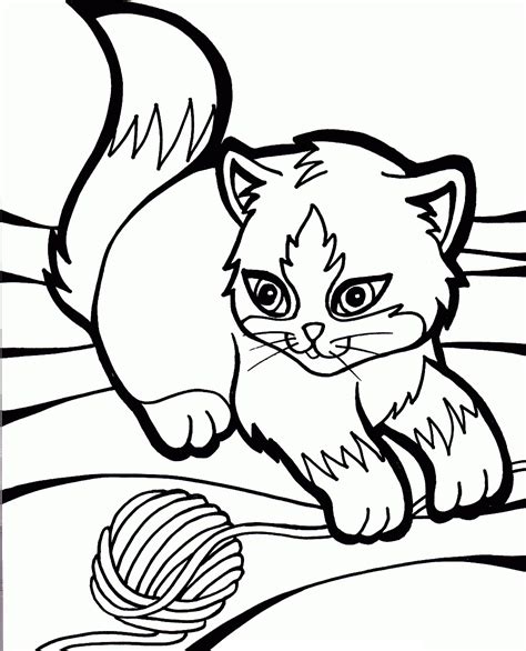 cat coloring pages  kids picture animal place