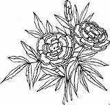 Offene Blueten Blumen sketch template