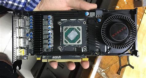 amd radeon rx    exposed videocardzcom