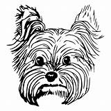 Yorkie Drawing Dog Yorkshire Terrier Dogs Puppy Etsy Vector Sketch Clipartmag Purebred Face Breed Drawings Draw Line Peeking Getdrawings Puppies sketch template