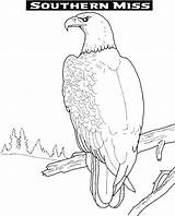 Eagle Coloring Pages Print Golden Eagles Color Kids Library Clipart sketch template