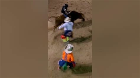 Amature Bull Riding Awesome Rodeo Bull Country Cool Subscribe