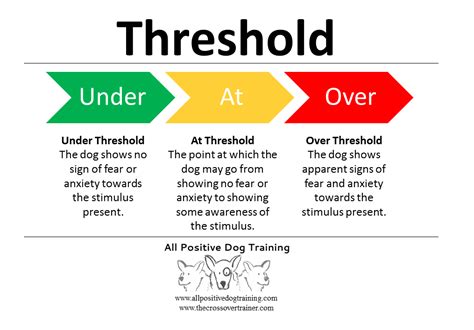 threshold  crossover trainers blog