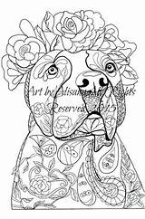 Coloring Pages Pitbull Dog Adults Dogs Cry Smile Later Puppy Now Tattoo Bull Christmas Pit Skull Sled Books Adult Sugar sketch template