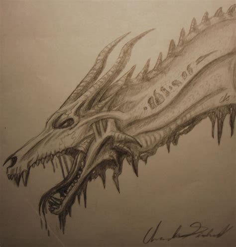 zombie dragon sketch  tiyku  deviantart