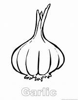 Garlic Coloring Pages Drawing Vegetable Getdrawings Drawings Zoom Print sketch template