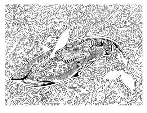 pin van barbara op coloring dolphin whale shark