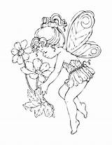 Coloring Pages Adults Fairy Fairies Printable Realistic Print Getdrawings sketch template