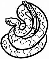 Rattlesnake Coloring Timber Copperhead sketch template