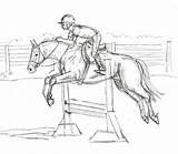 Horses Pferde Skizze Structural Showjumping Springpferde Drawsketch Malen Jumper Augen Sso Developing Lineart Springreiten Derby Janet Fürs sketch template