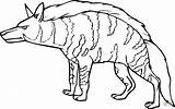Hyena Coloring Pages Clipart Cartoon Spotted Drawing Striped Printable Color Cliparts Hyenas Gif Colouring Animals Library Animal Animais Face Animales sketch template