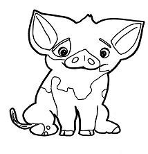 moana pig coloring coloring pages