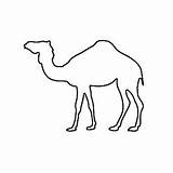Camel Coloringbuddy sketch template