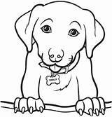 Cani Cucciolo Pagine Gratuitamente Rappresentano Colletto Nome sketch template