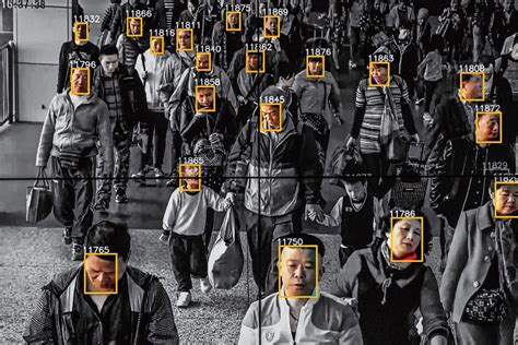 top face recognition software  paid  firms