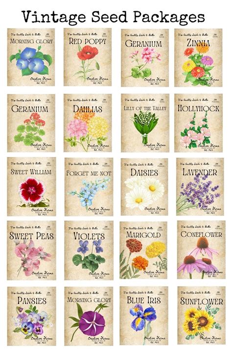 printable vintage inspired seed packets artofit