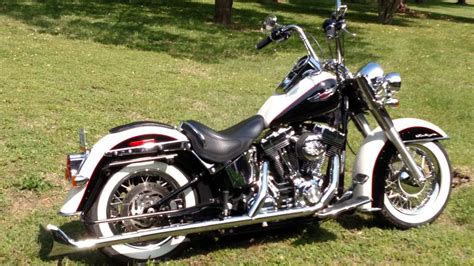 softail deluxe harley davidson forums