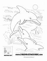 Island Crater Dolphin Bay Secret sketch template