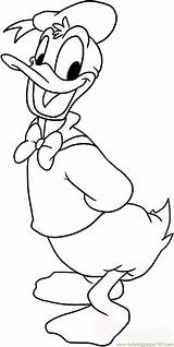 Duck Donald Draw Ducks Coloring Step Printable Ow Color Pages Birds Disney sketch template